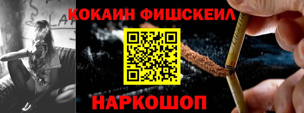 APVP Котлас