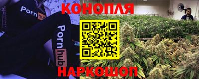 гидропоника Кунгур
