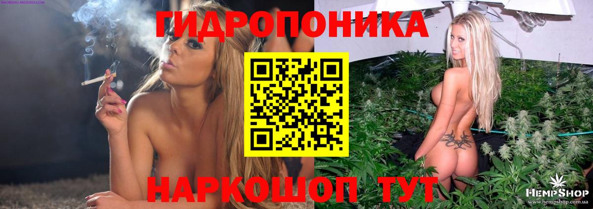 Шишки марихуана план  Вход с VPN  Канабис ГИДРОПОН  Шишки марихуана семена  Канабис ГИДРОПОН  Котлас 